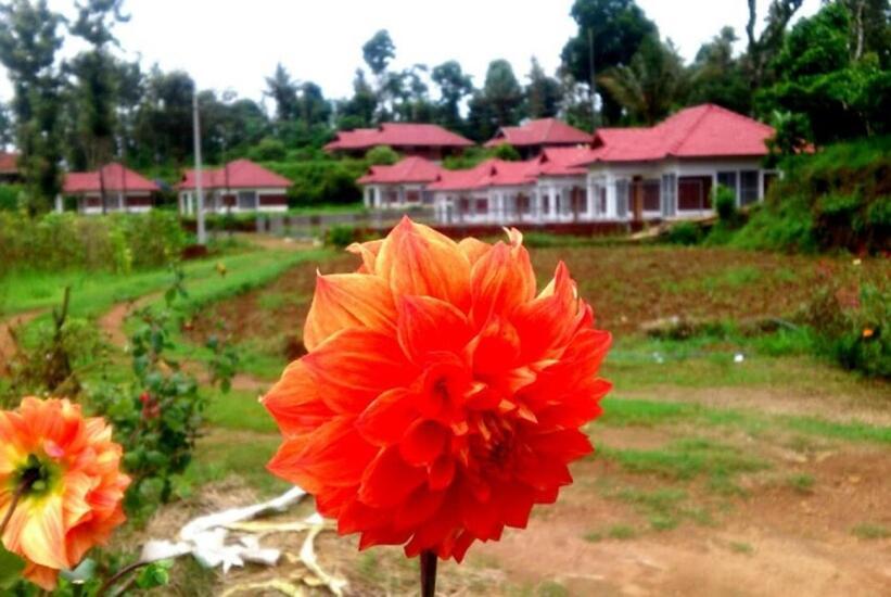 Himani Heritage Resorts, Formerly Camp Nishani Holidays Madikeri Exterior photo